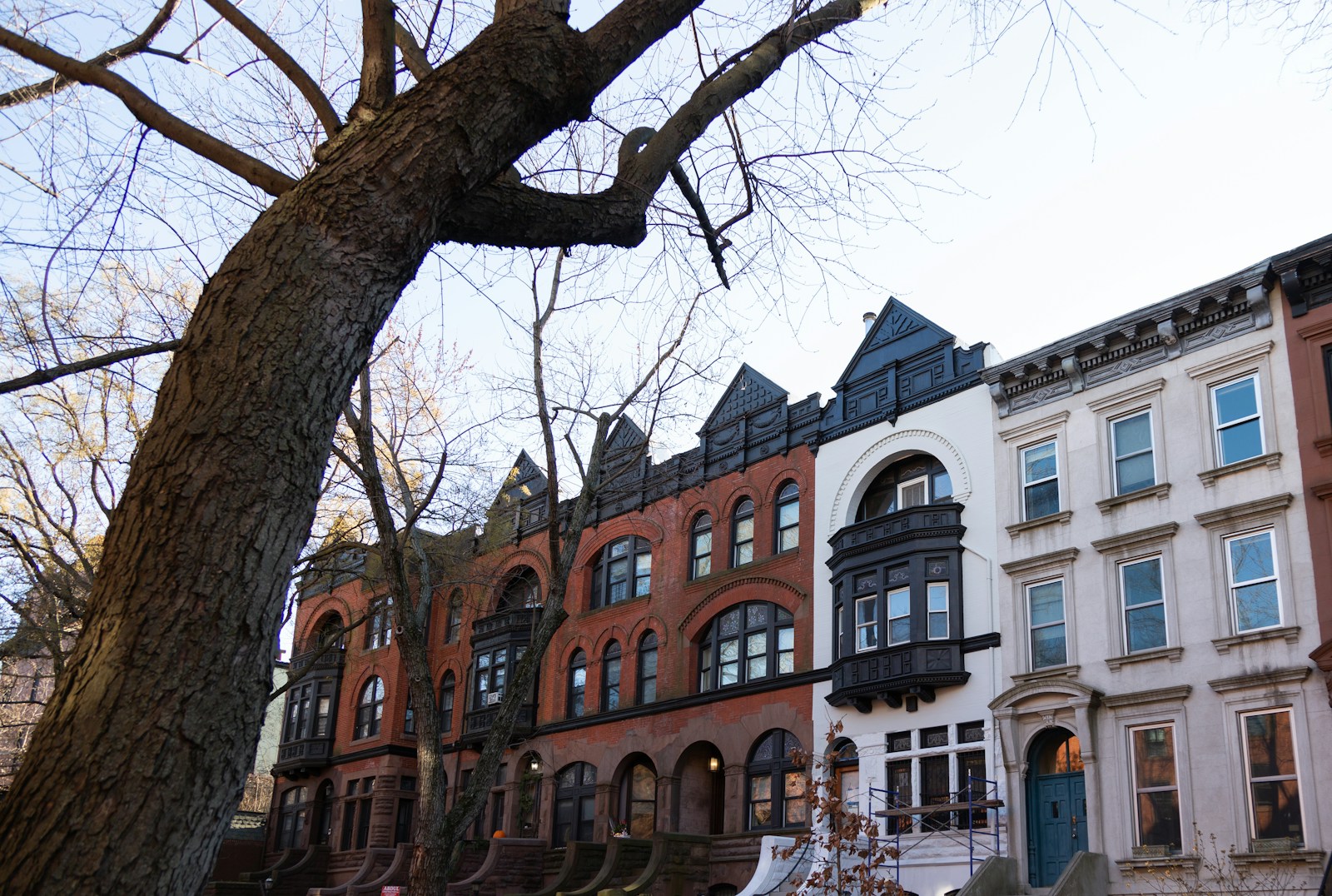 Tree-lined Brooklyn brownstones in Park Slope
